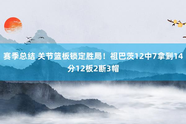 赛季总结 关节篮板锁定胜局！祖巴茨12中7拿到14分12板2断3帽