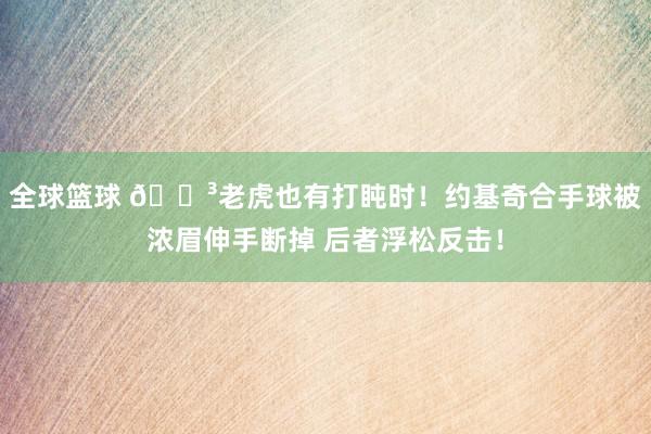 全球篮球 😳老虎也有打盹时！约基奇合手球被浓眉伸手断掉 后者浮松反击！