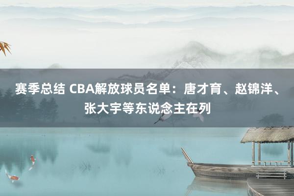 赛季总结 CBA解放球员名单：唐才育、赵锦洋、张大宇等东说念主在列