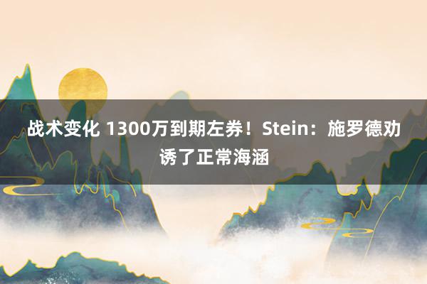 战术变化 1300万到期左券！Stein：施罗德劝诱了正常海涵