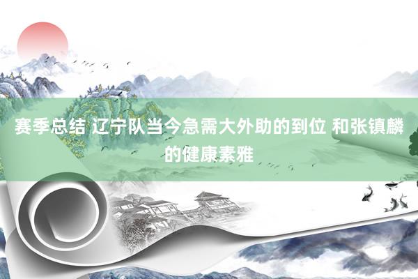 赛季总结 辽宁队当今急需大外助的到位 和张镇麟的健康素雅